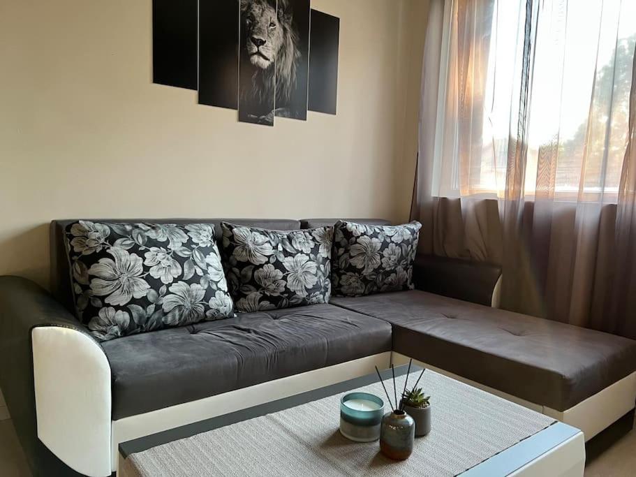Sof Apartment'S صوفيا المظهر الخارجي الصورة