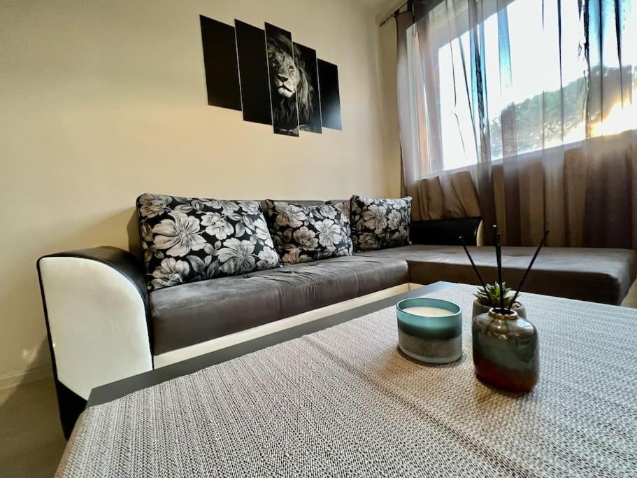 Sof Apartment'S صوفيا المظهر الخارجي الصورة